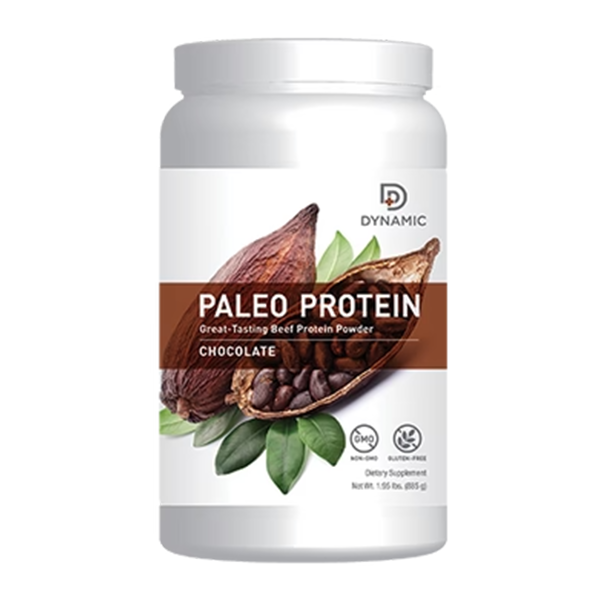 Paleo Protein Choc | NUTRIDYN Dynamic
